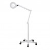 LAMPE LOUPE SUR PIED 3 DIOPTRIES