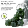 LASHILÉ - LASHILE GOOD DETOX FLACON 60 GUMMIES