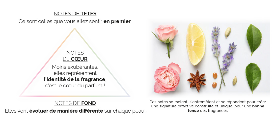 Notes fragrances.jpg